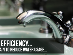 Practice Water Efficiency And Not Water Conservation In Your Kitchen